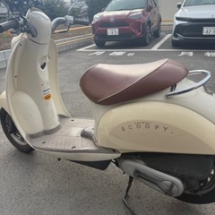 HONDA スクーピー　50ccの画像