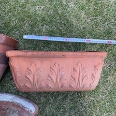 植木鉢色々まとめて
の画像