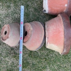 植木鉢色々まとめて
の画像