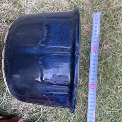 植木鉢色々まとめて
の画像