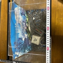 水槽の画像