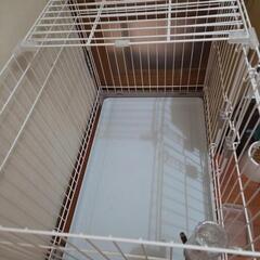 ドッグゲージの画像