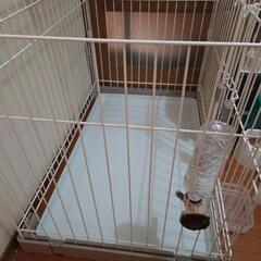 ドッグゲージの画像