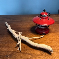 5、小枝が可愛い〜流木、天然物、インテリア、オブジェの画像