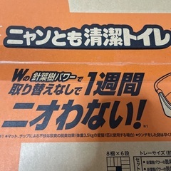 子猫用トイレ【未使用】の画像