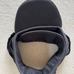 ヒップシードの画像