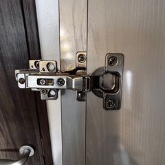 室内用厚扉　スライド蝶番4つ付き✖️2枚
の画像