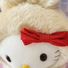 ふわふわ着ぬぐるみキティちゃん♡の画像