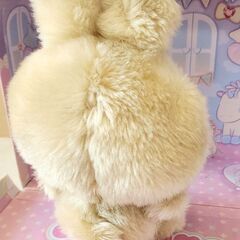 ふわふわ着ぬぐるみキティちゃん♡の画像