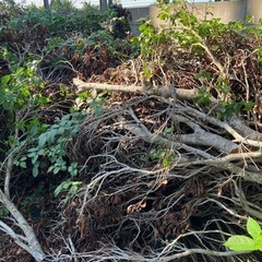 キャンプ　薪　薪ストーブ　ご自由にお持ち帰り下さいの画像