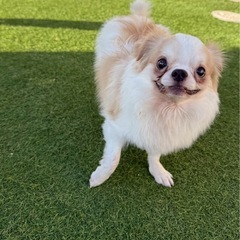 控えめな、みつくん🩵