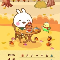 11/20(木)大人🧑🏻‍🦱👩🏻‍🦰のテニス