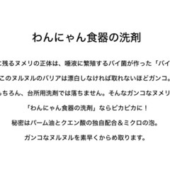 未開封　わんにゃん食器の洗剤　お試しサイズ　50ml ペット　犬　猫の画像