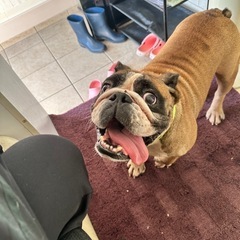 ブルブルのまきちゃん🩷