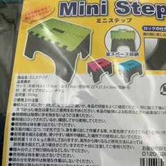 ミニステップ　ブルーの画像
