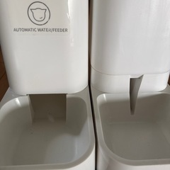 受け渡し者決定　猫　給餌機の画像