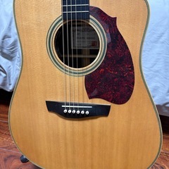 西野春平 アコースティックギターの画像