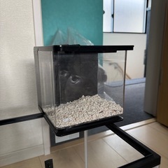 【早い者勝ち】差し上げます。水槽セットの画像