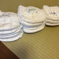 メリーズパンツSの画像