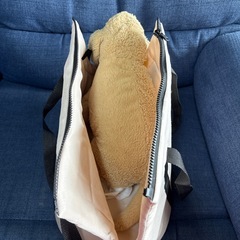 ペット　キャリーバッグの画像