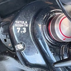 ダイワ　タトゥーラ　ルアーいろいろの画像