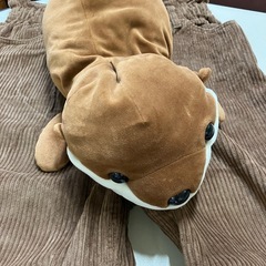 セーター　パンツ　ぬいぐるみの画像
