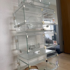 【早い者勝ち】差し上げます。ハムスター　グラスハーモニー　ケージの画像