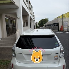 プリウスα プリウスアルファの画像