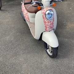 ホンダ　スクーピー　　リサイクルショップ宮崎屋　佐土原店　25.11.18の画像