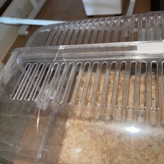 ハムスター用ケージ & 付属品セットの画像