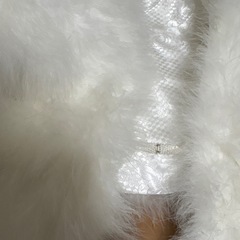 着物用ショールの画像