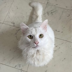 甘えん坊のイケメンです❤️