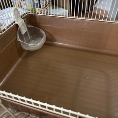 小動物ケージ60cmの画像