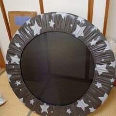 ダイエット用トランポリンの画像