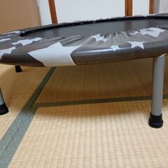 ダイエット用トランポリンの画像