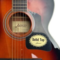James ギター ケース付きの画像