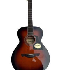 James ギター ケース付きの画像