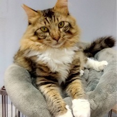 ゴロスリ甘えん坊男子です❤️