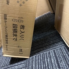 カーペット50✖️50 Tajima 100枚　の画像