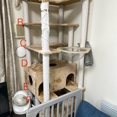 キャットタワーの画像