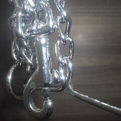 犬の鎖　ぺテイオの画像