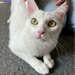 人懐っこい女の子です❤️