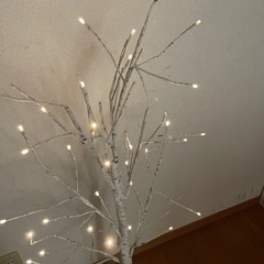 白樺ツリーの画像