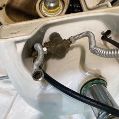 シャンプーボールの画像