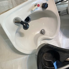 シャンプーボールの画像