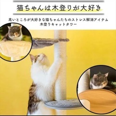 ほぼ新品キャットタワー譲りますの画像
