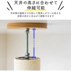 ほぼ新品キャットタワー譲りますの画像