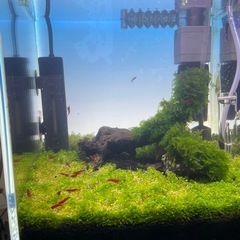 LEDバックスクリーンの画像