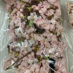 あげます！桜セットの画像