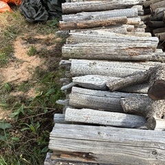 ハゼ足　針葉樹　軽トラ山盛り4000円の画像